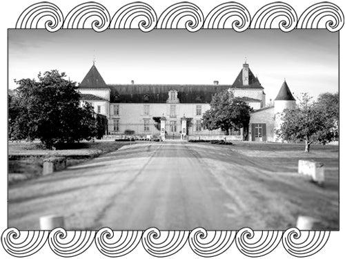 Château Suduiraut, historic Sauternes estate, viewed from its grand entrance drive, framed with Dynamic Cellars wave design