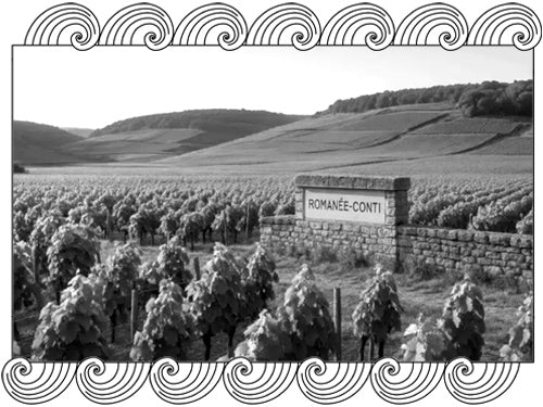 Domaine de la Romanée-Conti Grand Cru vineyard in Vosne-Romanée, Burgundy, framed with Dynamic Cellars wave design