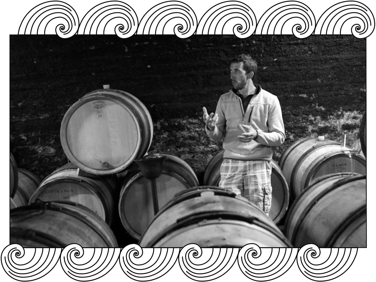 Domaine Duroché: the winemaker among oak barrels in the cellar, framed with Dynamic Cellars wave design