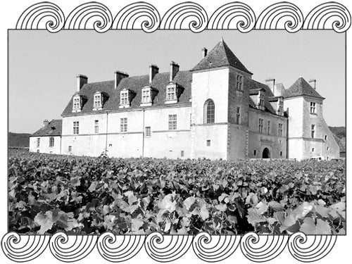 Domaine Mugneret-Gibourg estate château overlooking Vosne-Romanée vineyards, framed with Dynamic Cellars wave design
