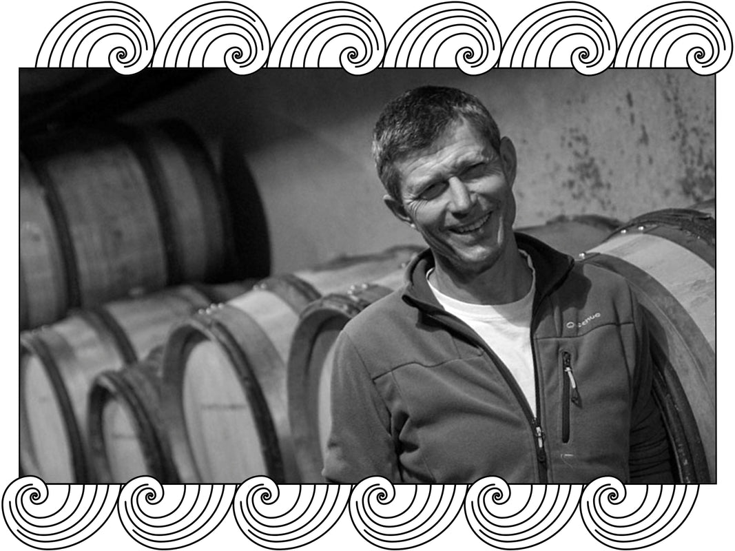 Domaine Georges Roumier: the winemaker in the barrel cellar beside oak casks, framed with Dynamic Cellars wave design