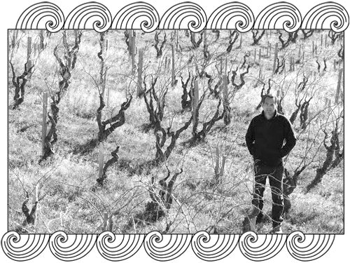 Domaine Gourt de Mautens, Rhône winemaker standing among old winter vines, framed with Dynamic Cellars wave design