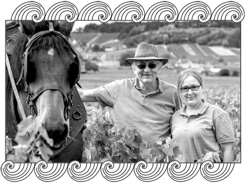 Domaine Michel Lafarge, Volnay winemakers with their horse in the Burgundy vineyard, framed with Dynamic Cellars wave design