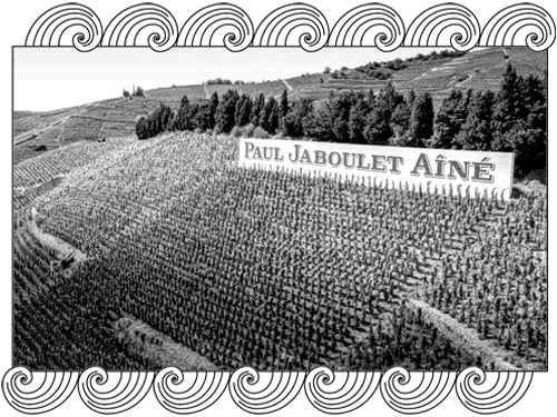 Paul Jaboulet Aîné iconic Rhône Valley vineyard on steep hillside slopes, framed with Dynamic Cellars wave design