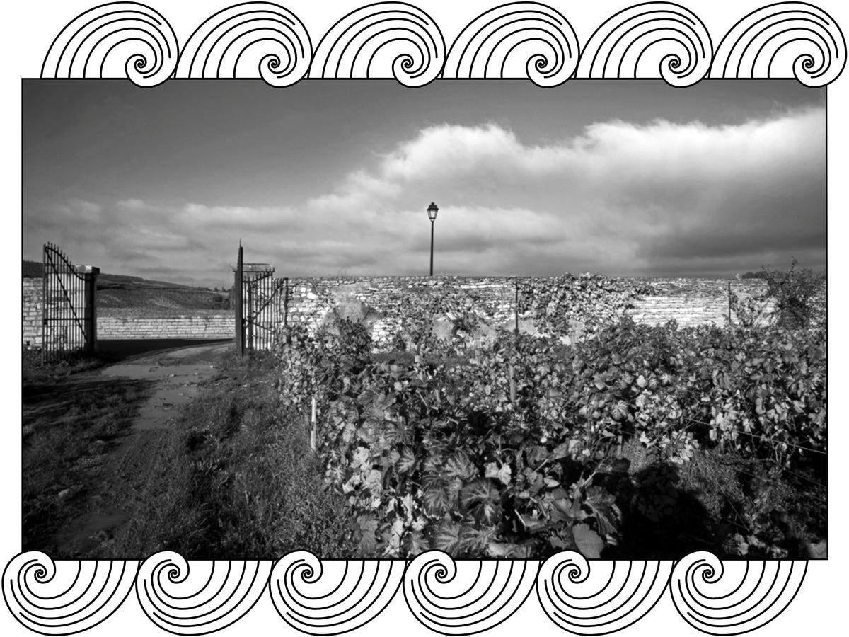Domaine Prieuré Roch: the walled Clos Vougeot vineyard and its gate in Burgundy, framed with Dynamic Cellars wave design