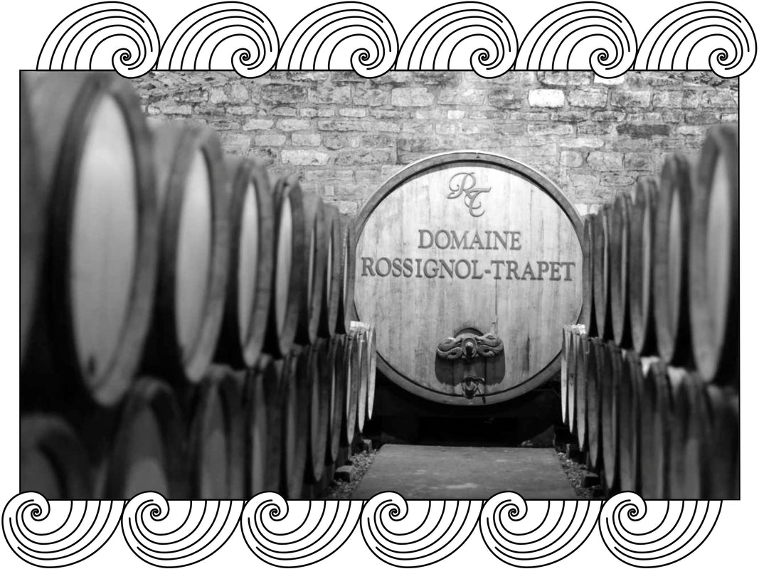 Domaine Rossignol-Trapet: barrels lining the cellar before a large engraved foudre, framed with Dynamic Cellars wave design