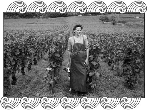 Sylvie Esmonin, Côte de Nuits winemaker, standing in her Vosne-Romanée vineyard, framed with Dynamic Cellars wave design
