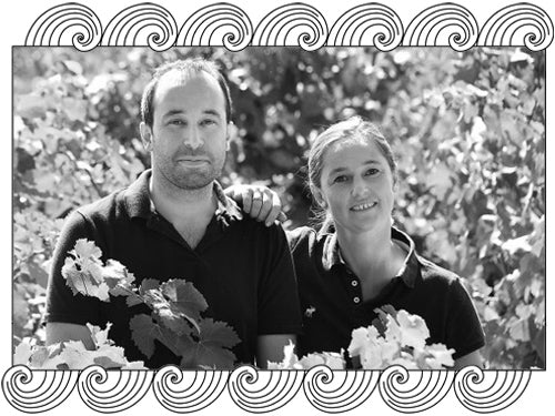 Le Vieux Donjon winemakers among their Châteauneuf-du-Pape vines, framed with Dynamic Cellars wave design