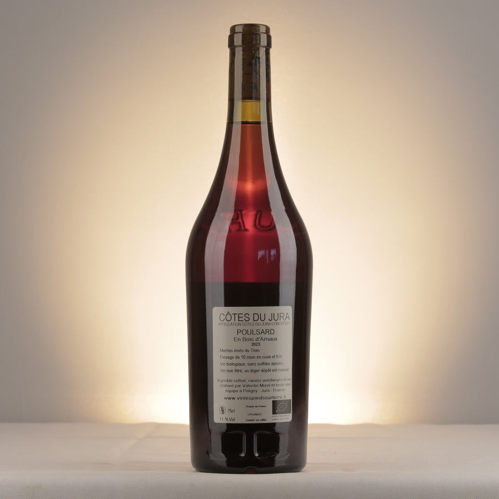 Les Pieds sur Terre Valentin Morel Les Pieds sur Terre En Bois d'Arnaux Poulsard 2023 Bottle back