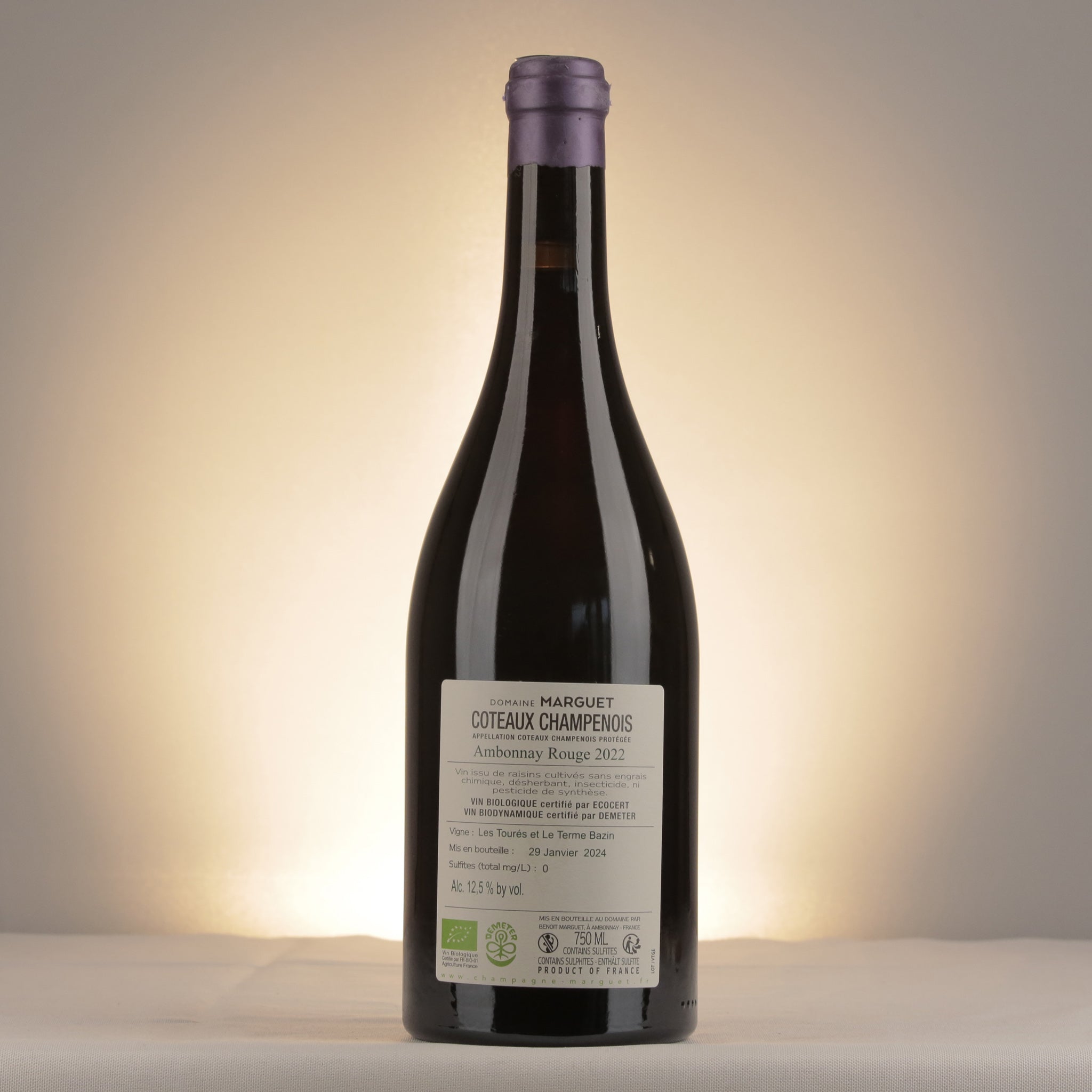 Marguet Ambonnay Pinot Noir Coteaux Champenois 2022 Bottle back