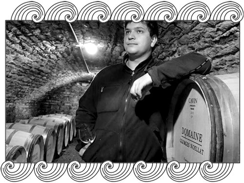 Maxime Cheurlin-Noëllat, Côte de Nuits winemaker, in his barrel cellar, framed with Dynamic Cellars wave design
