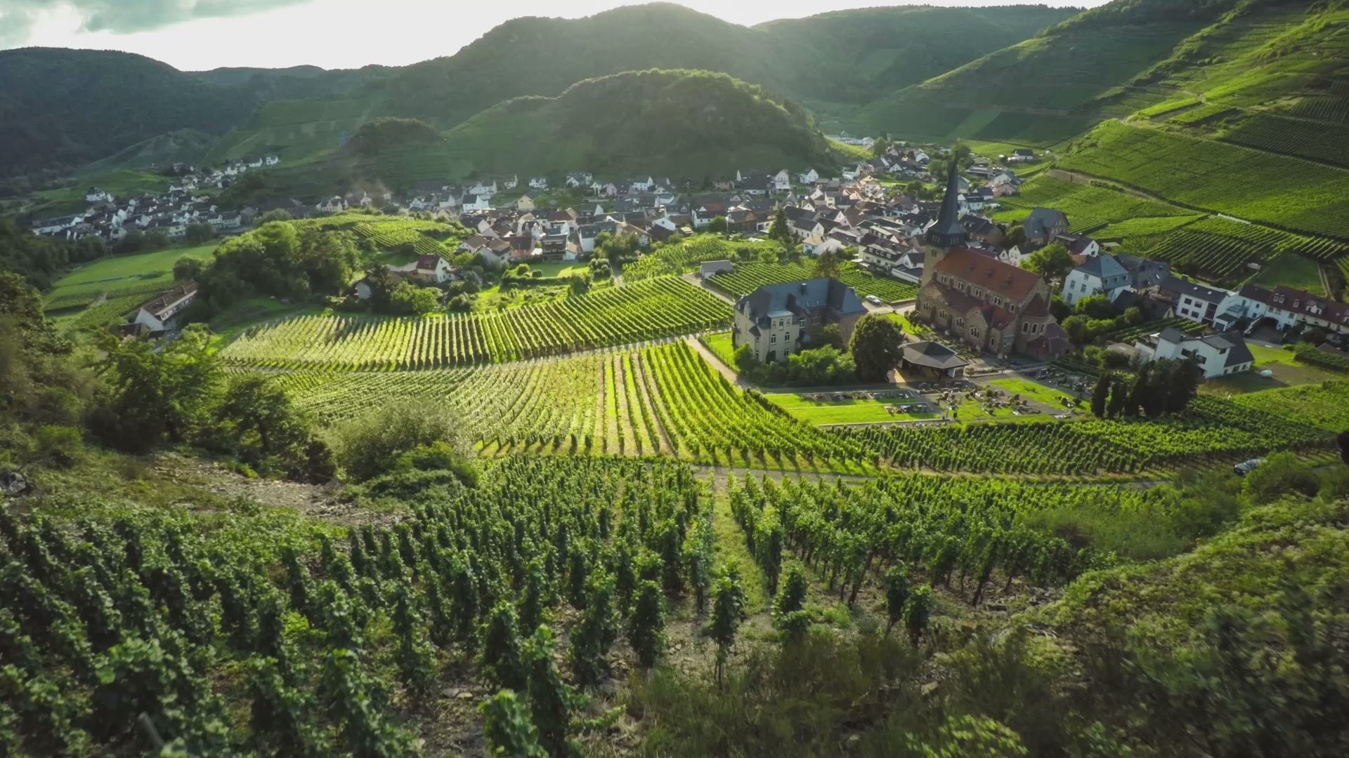 Aerial view of Burgundy vineyards - wine terroir from above