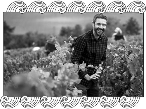 R.Pouillon et Fils, Champagne winemaker harvesting in his Montagne de Reims vineyard, framed with Dynamic Cellars wave design