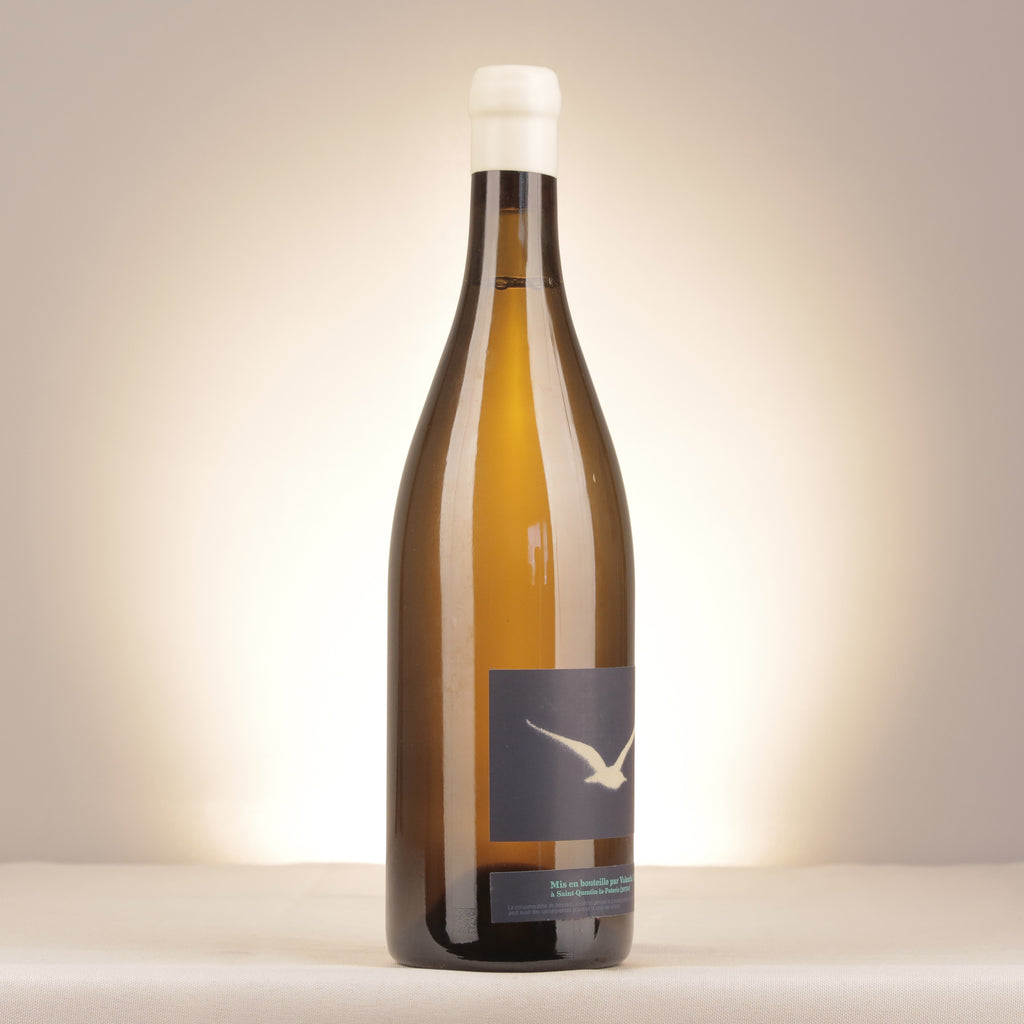Valentin Vallès Goéland VdF 2019 Bottle turned right